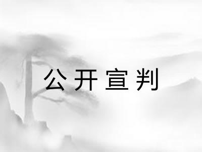 公开宣判 公开宣判