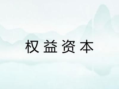 权益资本 权益资本