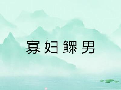 寡妇鳏男 寡妇鳏男