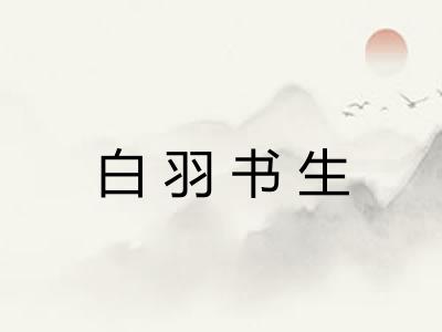 白羽书生
