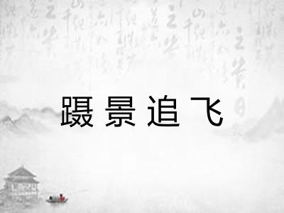 蹑景追飞 蹑景追飞