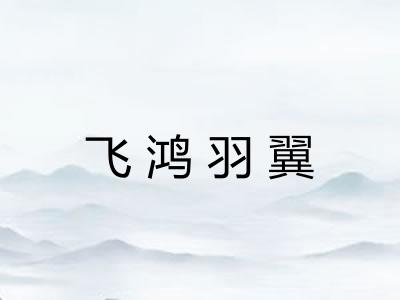 飞鸿羽翼 飞鸿羽翼