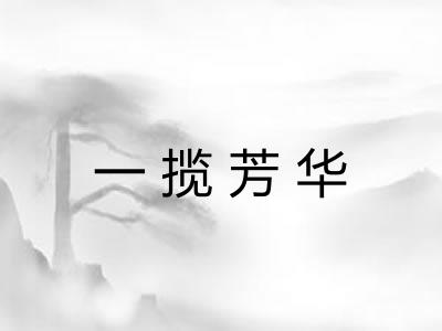 一揽芳华 一揽芳华