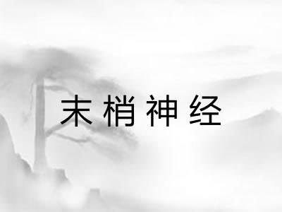 末梢神经 末梢神经