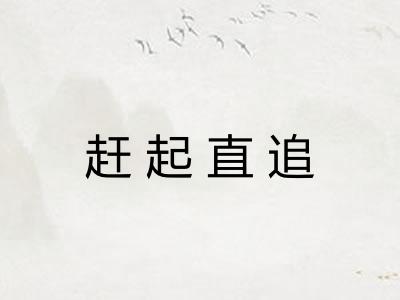 赶起直追 赶起直追