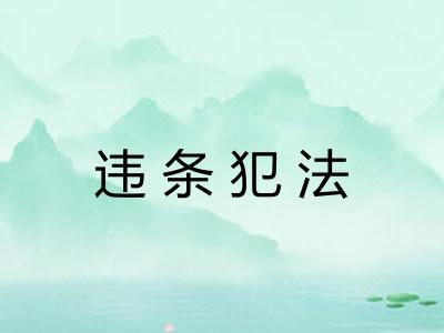 违条犯法 违条犯法