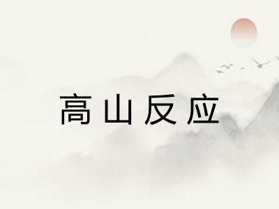 高山反应 高山反应