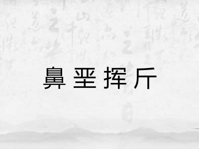 鼻垩挥斤 鼻垩挥斤