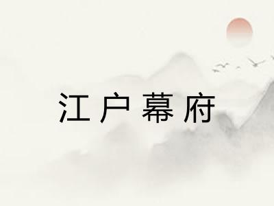 江户幕府 江户幕府