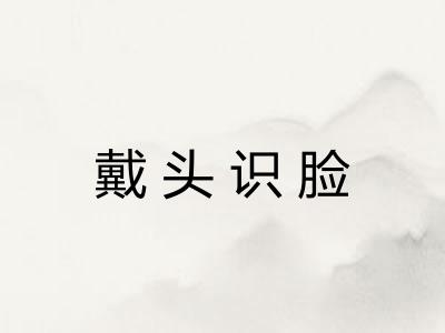 戴头识脸 戴头识脸