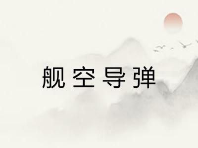 舰空导弹 舰空导弹