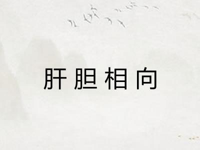 肝胆相向 肝胆相向