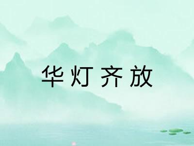 华灯齐放 华灯齐放