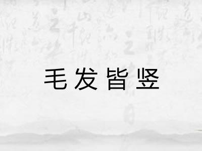 毛发皆竖 毛发皆竖