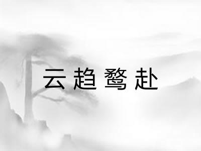 云趋鹜赴 云趋鹜赴