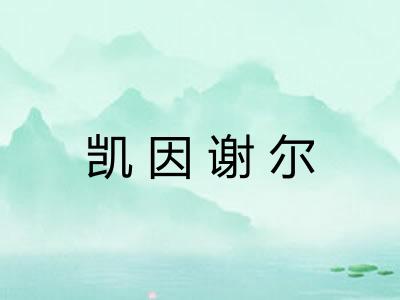 凯因谢尔 凯因谢尔