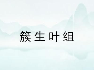 簇生叶组 簇生叶组