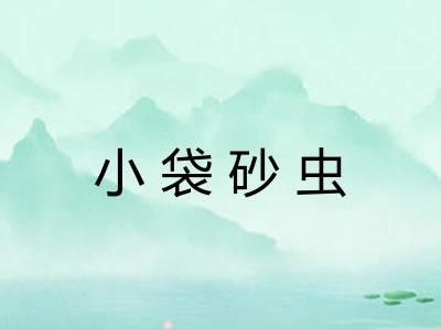 小袋砂虫 小袋砂虫