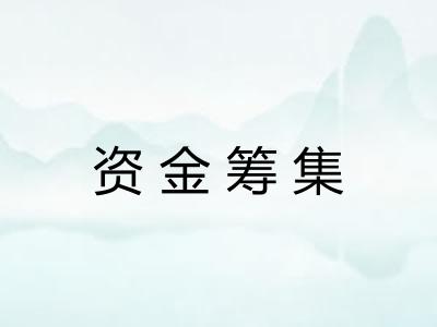 资金筹集 资金筹集