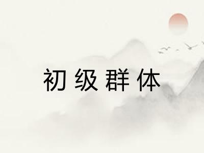 初级群体 初级群体