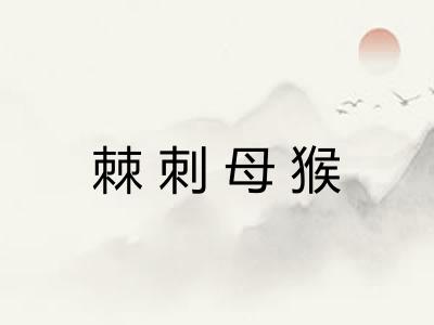 棘刺母猴 棘刺母猴