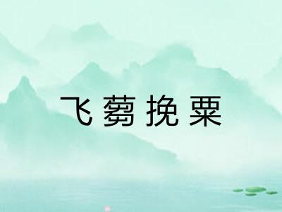 飞蒭挽粟 飞蒭挽粟