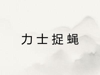 力士捉蝇 力士捉蝇