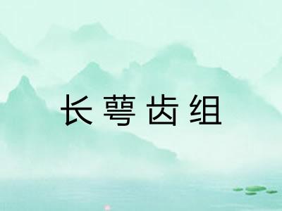 长萼齿组 长萼齿组