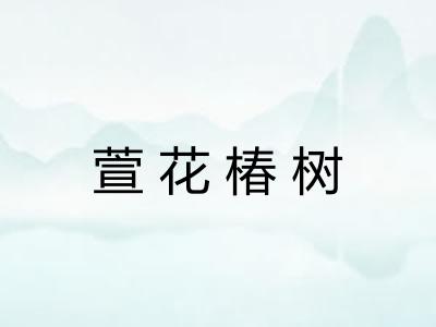 萱花椿树 萱花椿树