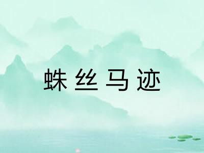 蛛丝马迹 蛛丝马迹