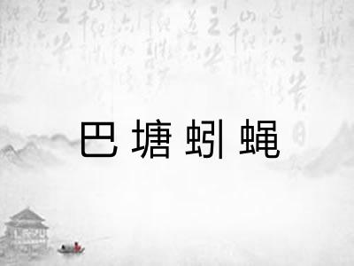 巴塘蚓蝇 巴塘蚓蝇