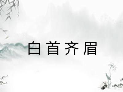 白首齐眉 白首齐眉