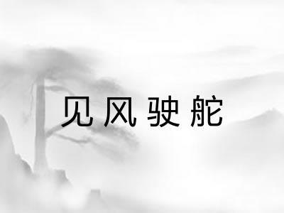 见风驶舵 见风驶舵