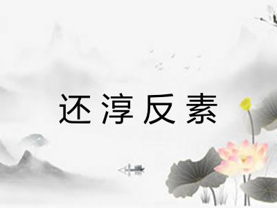 还淳反素 还淳反素