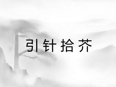 引针拾芥