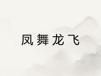 凤舞龙飞