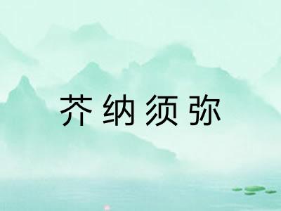 芥纳须弥 芥纳须弥