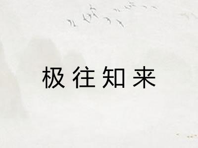 极往知来 极往知来
