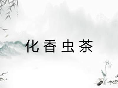 化香虫茶 化香虫茶