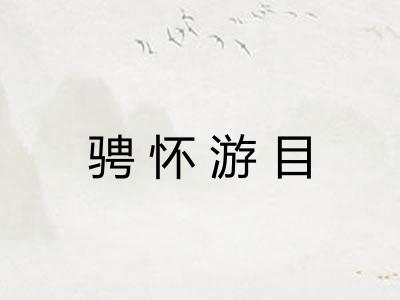 骋怀游目 骋怀游目