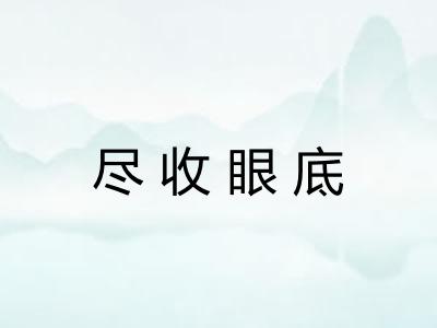 尽收眼底 尽收眼底