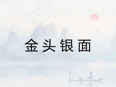 金头银面 金头银面