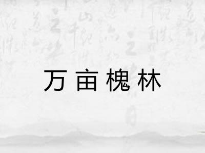 万亩槐林 万亩槐林