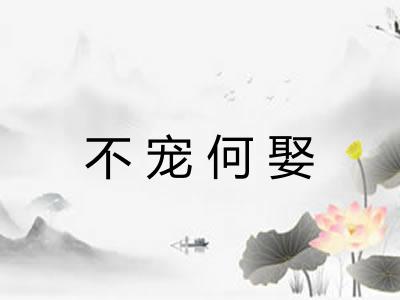 不宠何娶 不宠何娶