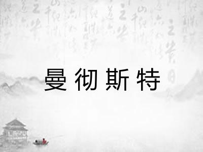 曼彻斯特 曼彻斯特