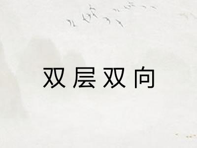 双层双向 双层双向