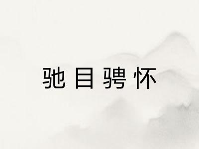 驰目骋怀 驰目骋怀