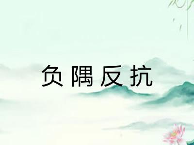 负隅反抗 负隅反抗