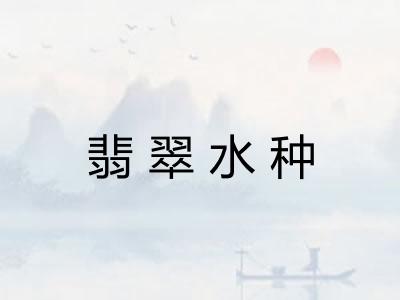 翡翠水种 翡翠水种