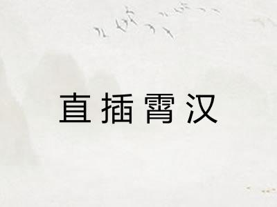 直插霄汉 直插霄汉